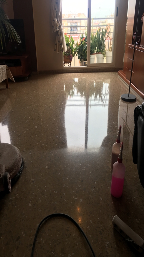 Vitrificados en Valencia