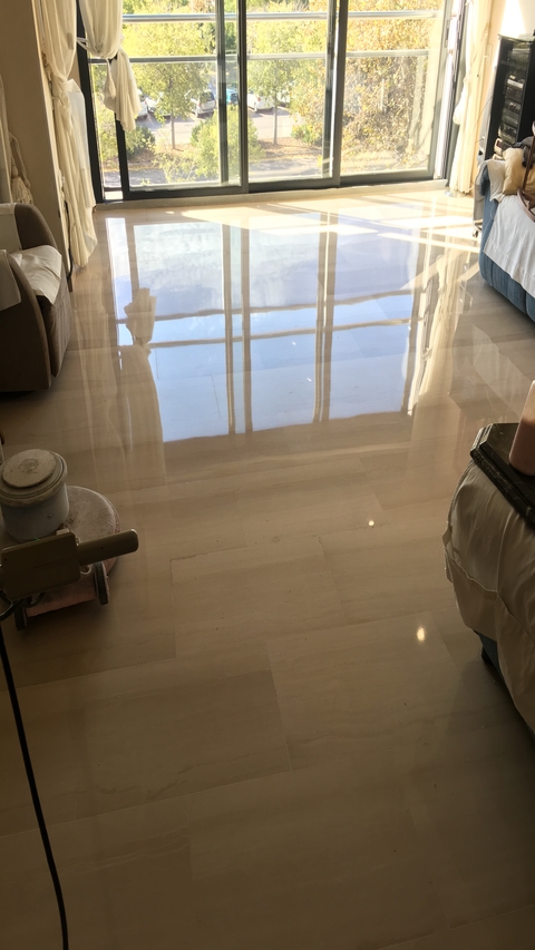 Vitrificados en Valencia