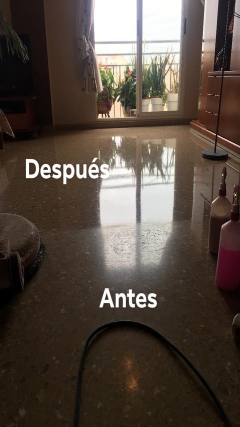 Vitrificados en Valencia