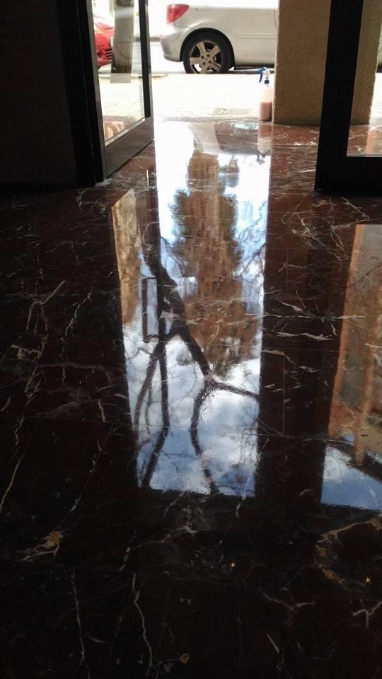 Vitrificados en Valencia